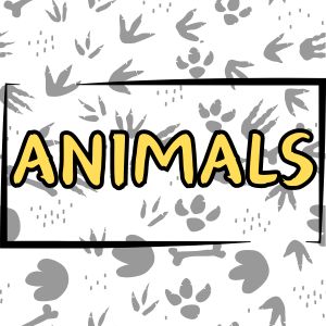 animals - YLJ Art Shop