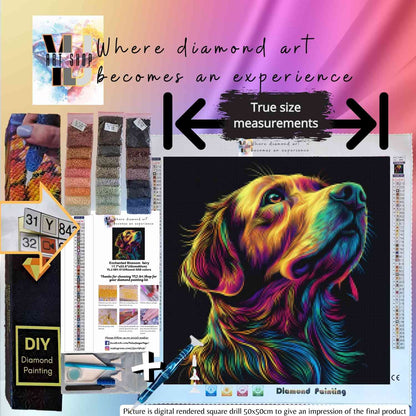 Radiant Retriever - Dog Diamond Painting Kit - YLJ Art Shop